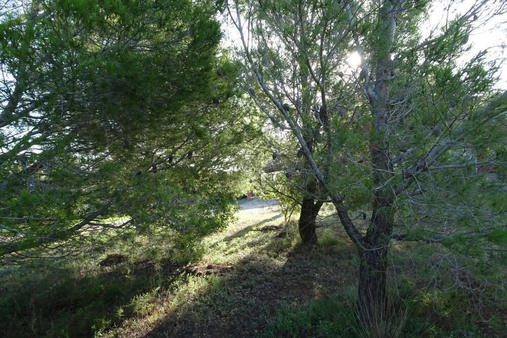 Photo of Outdoor in Vilanova d'Escornalbou