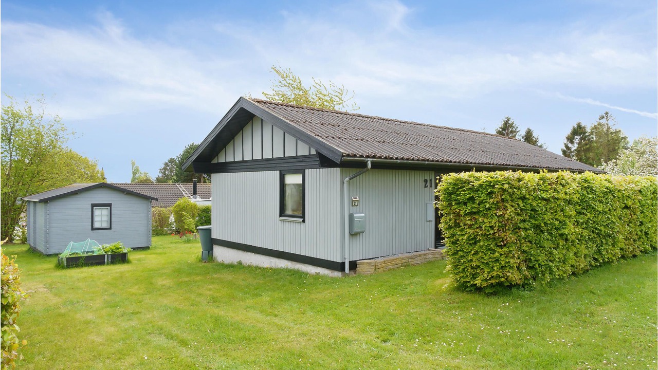 Photo of Outdoor in Bog By