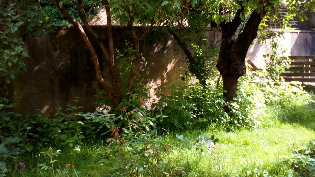 Photo of Outdoor in Boulay-Moselle