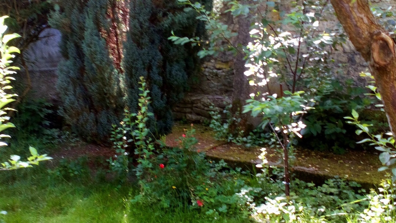 Photo of Outdoor in Boulay-Moselle