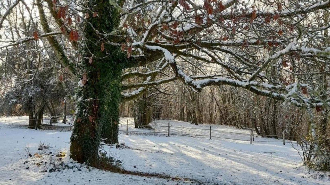 Photo of Outdoor in Montcabrier