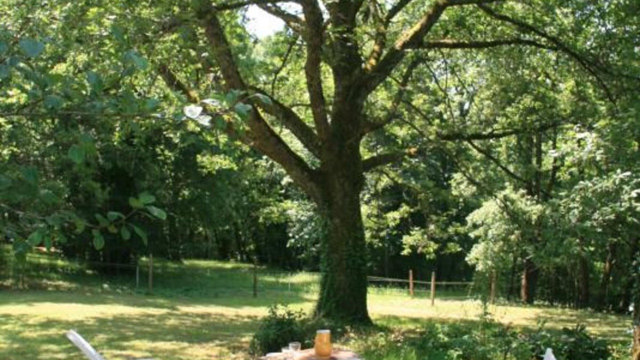 Photo of Outdoor in Montcabrier