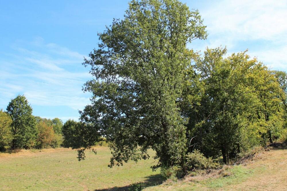 Photo of Outdoor in Borreze
