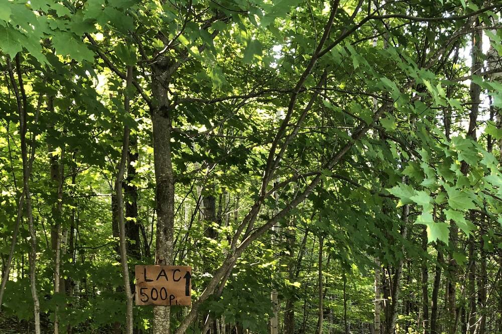 Photo of Outdoor in Cheneville
