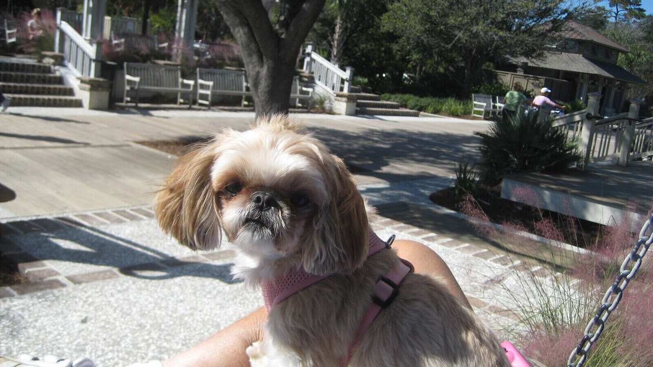 Photo of Others in Clifton Park