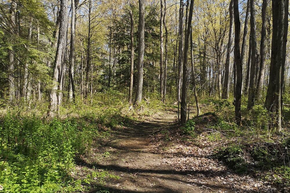 Photo of Outdoor in East Gwillimbury