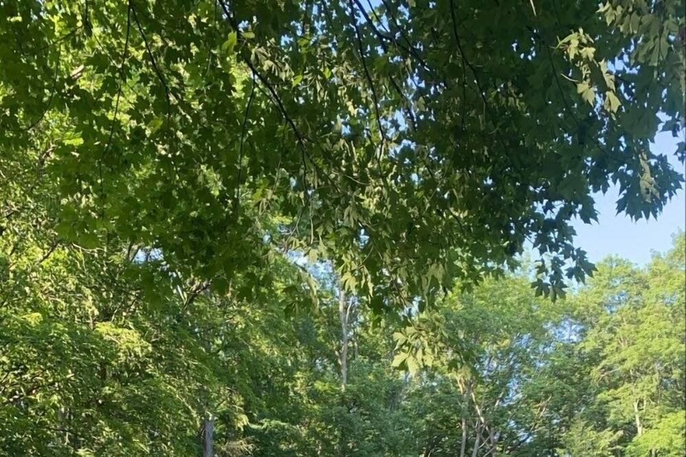 Photo of Outdoor in East Gwillimbury