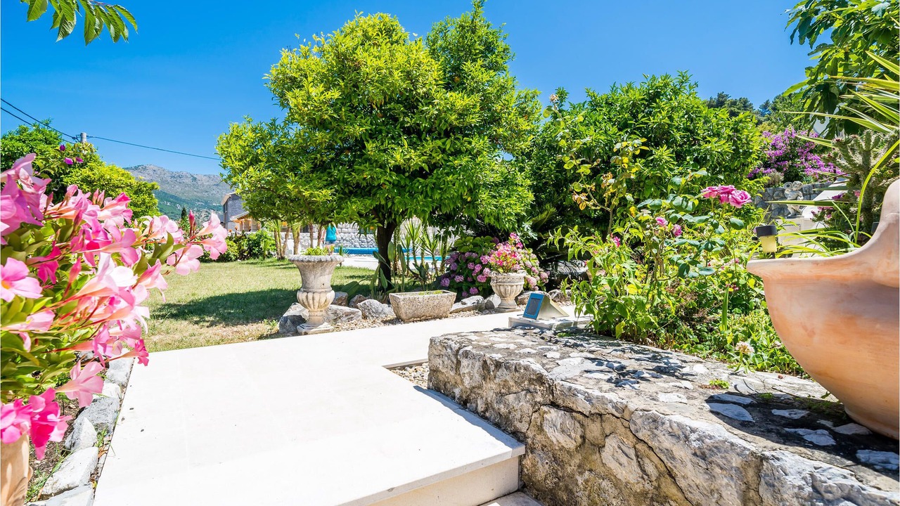 Photo of Outdoor in Zaton