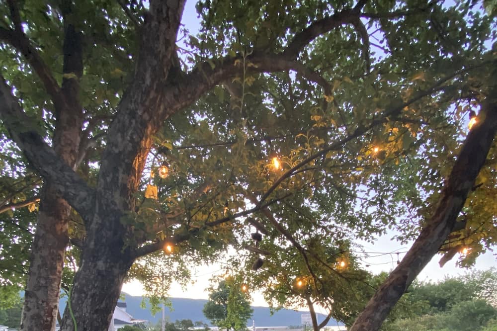Photo of Outdoor in Boularderie