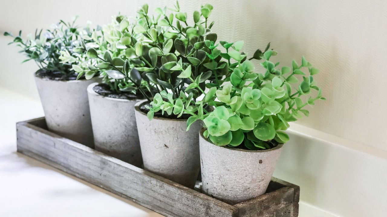 Photo of Others in Cayton Bay