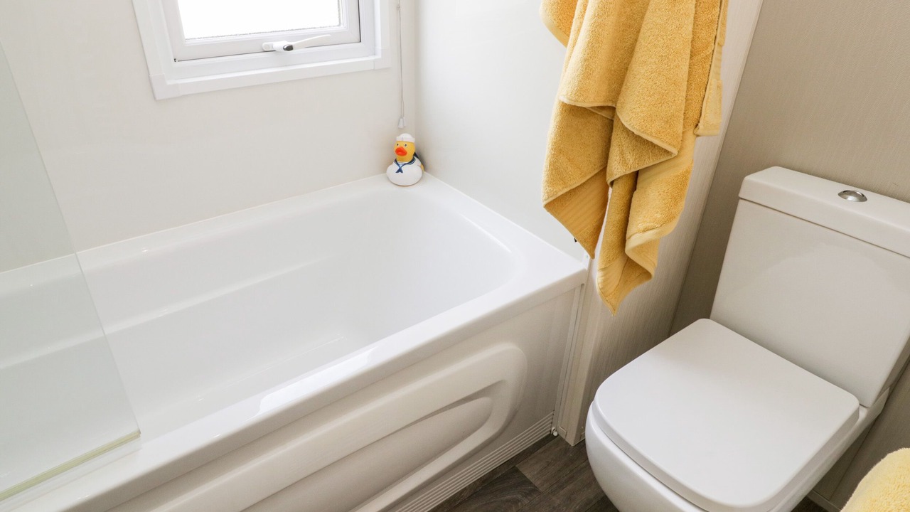 Photo of Others in Cayton Bay