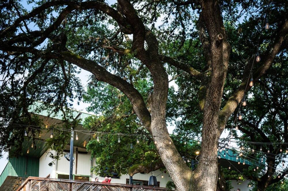 Photo of Others in Austin