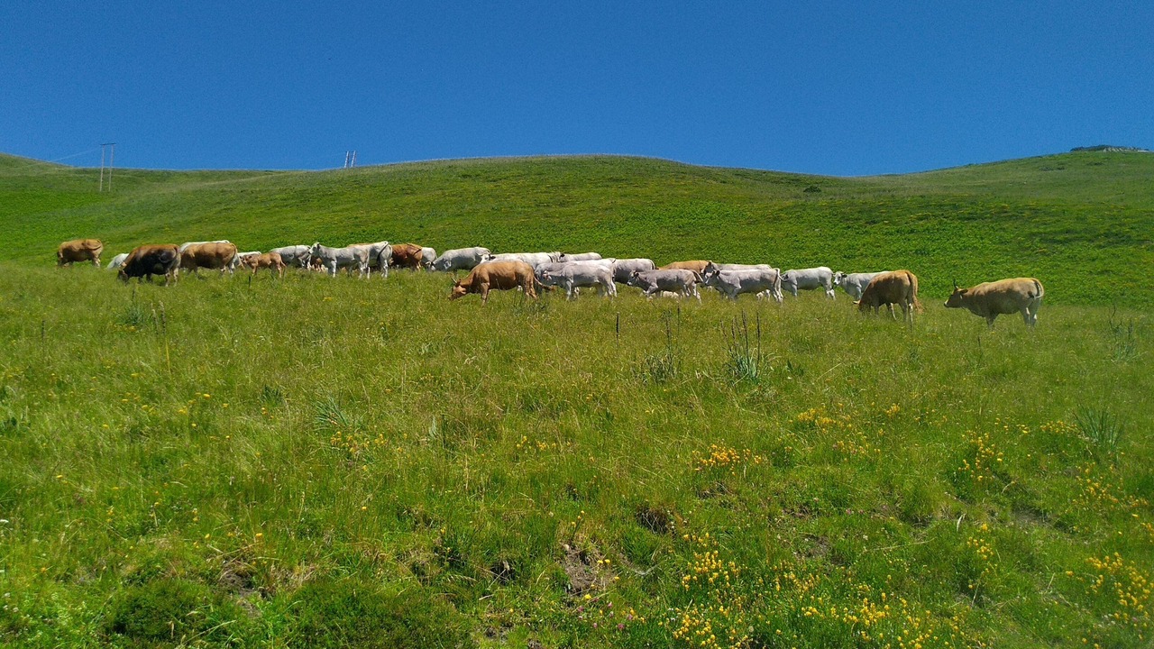 Photo of Outdoor in Bagneres-de-Luchon