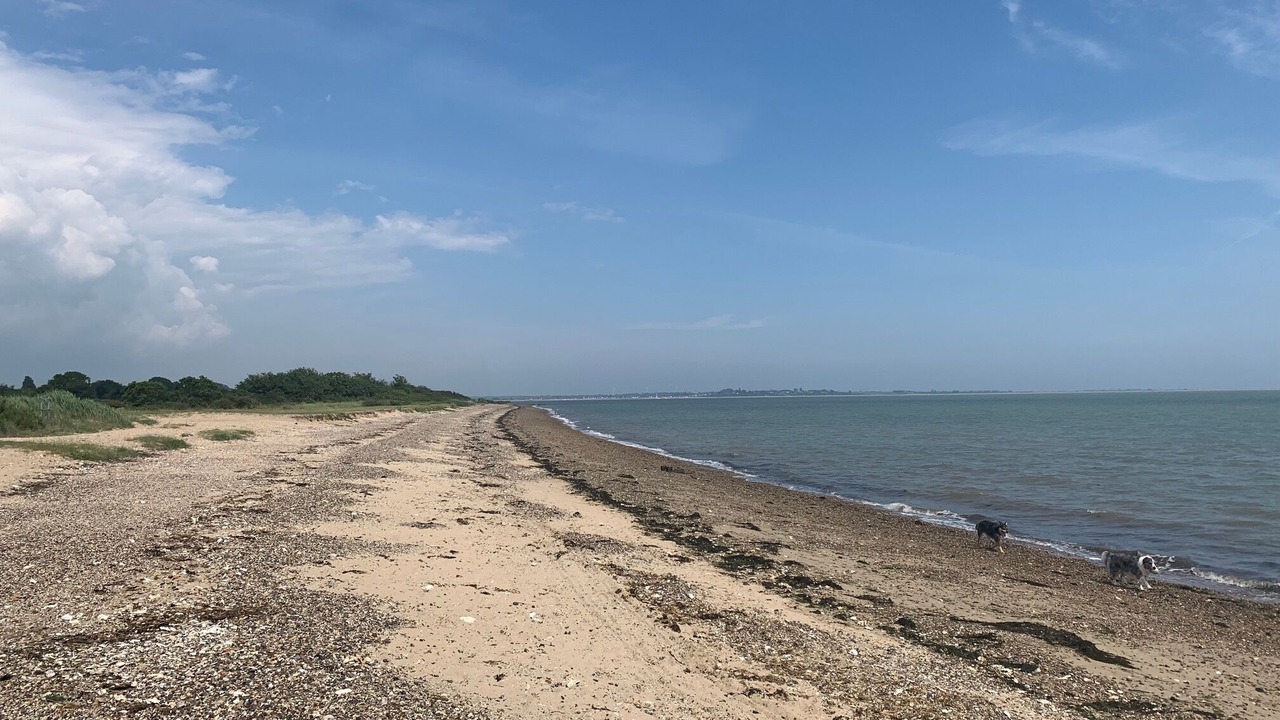 Photo of Others in Colchester