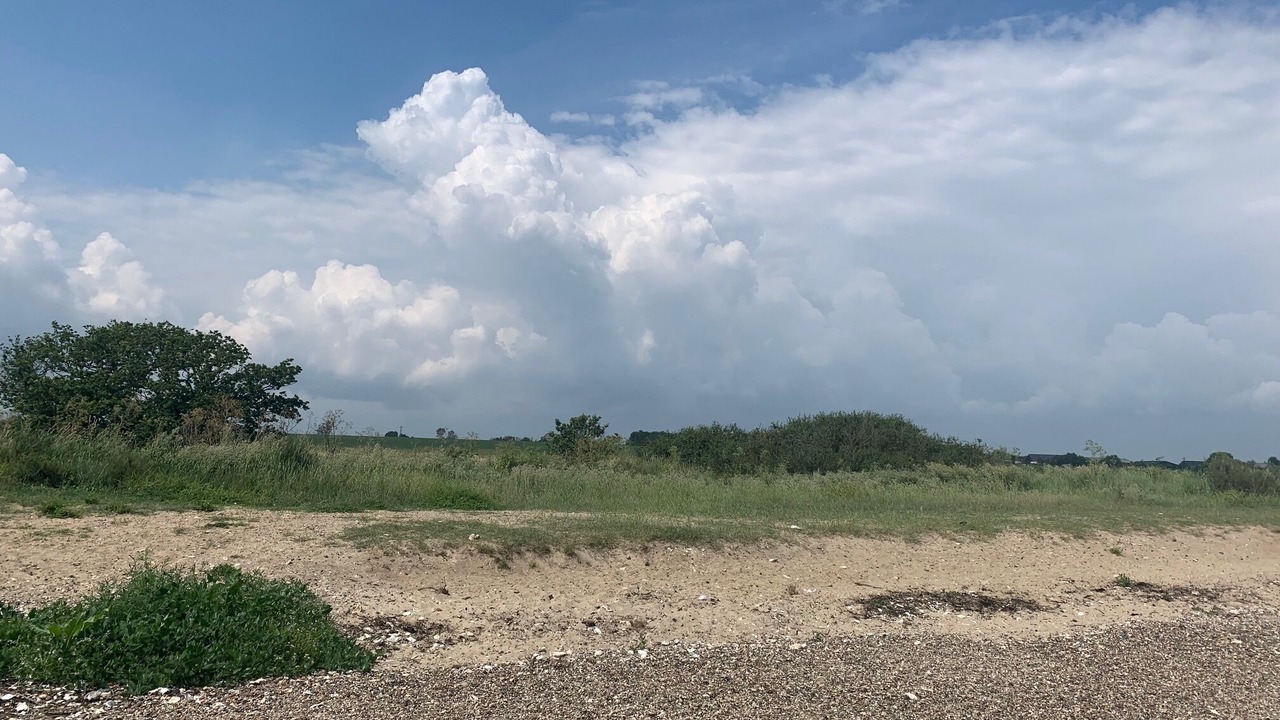 Photo of Others in Colchester