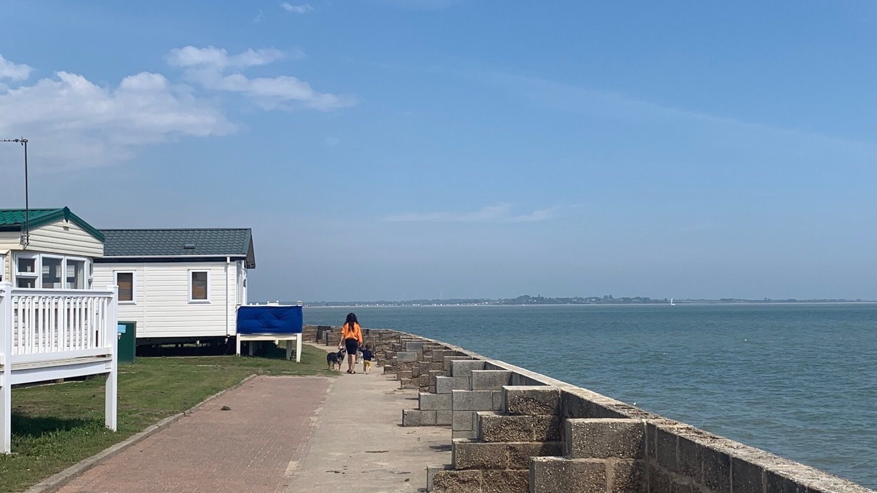 Photo of Others in Colchester