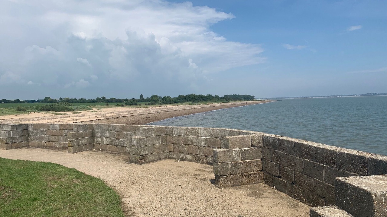 Photo of Others in Colchester