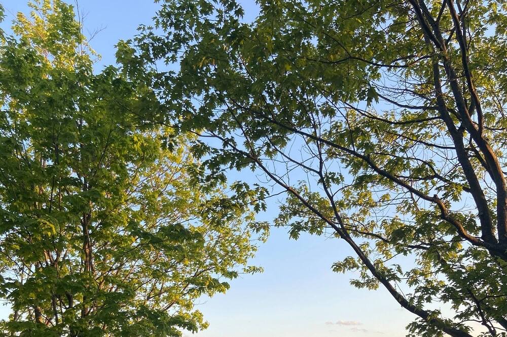 Photo of Outdoor in Mauricie