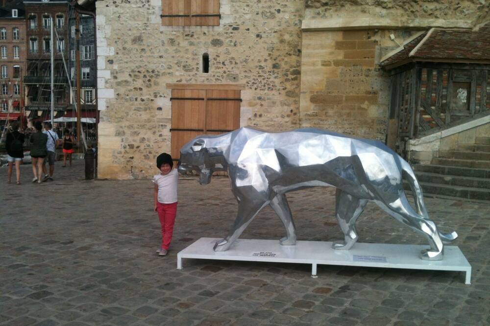 Photo of Others in Bonneville-la-Louvet