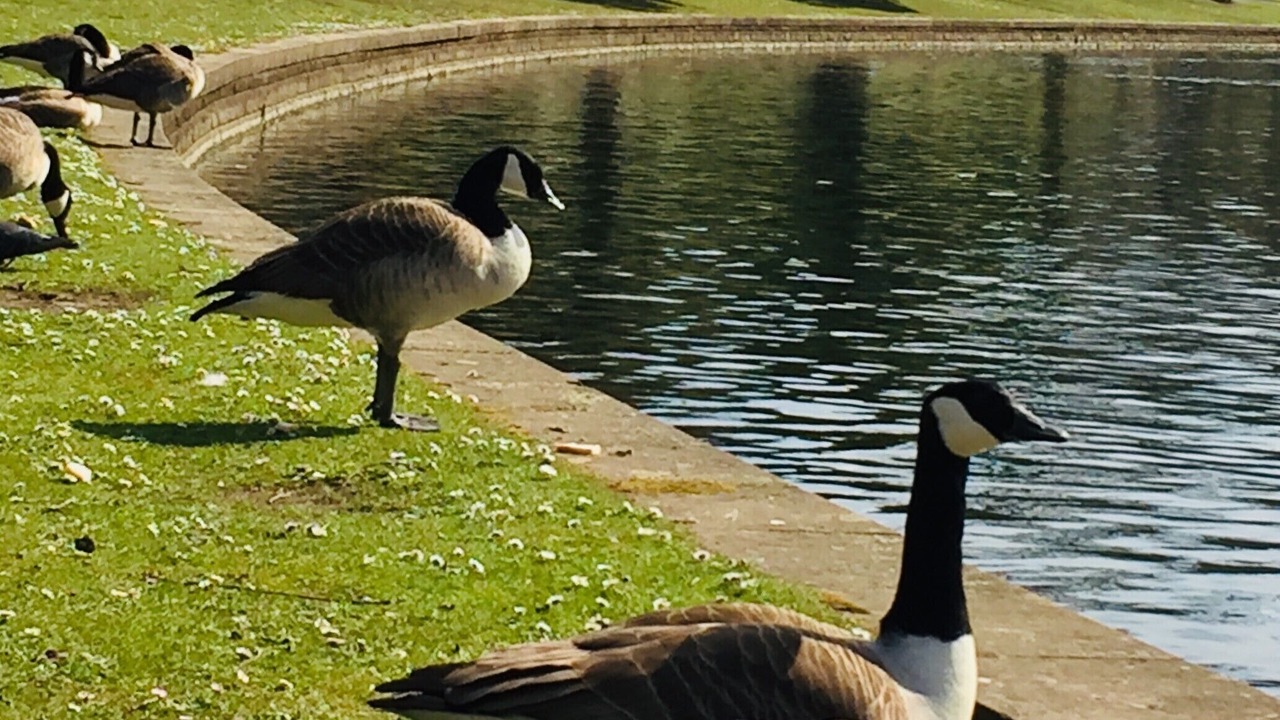 Photo of Others in Buxton