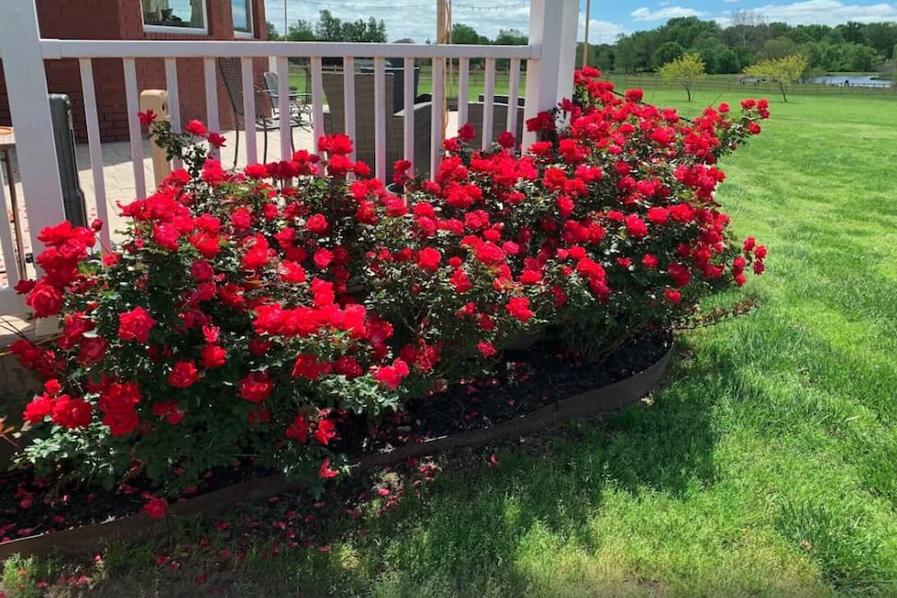 Photo of Outdoor in Highfill