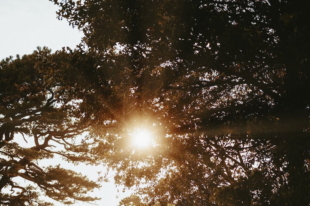 Photo of Outdoor in Highfill