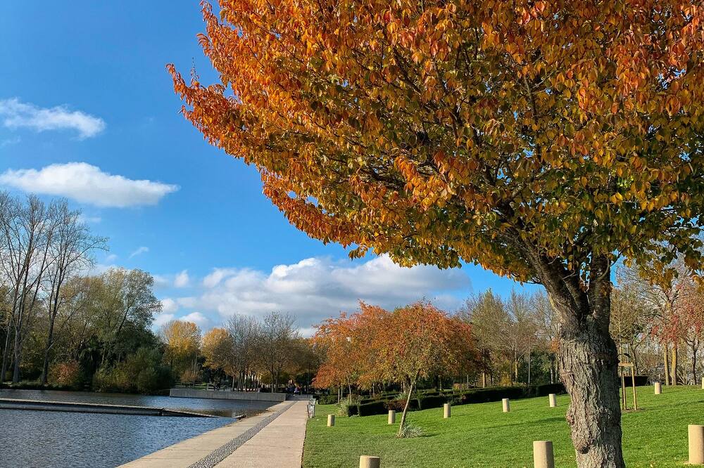 Photo of Outdoor in Centre Ville