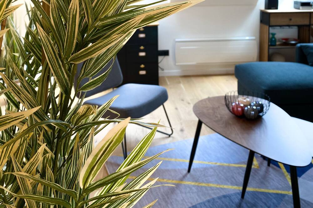 Photo of Livingroom in Centre Ville