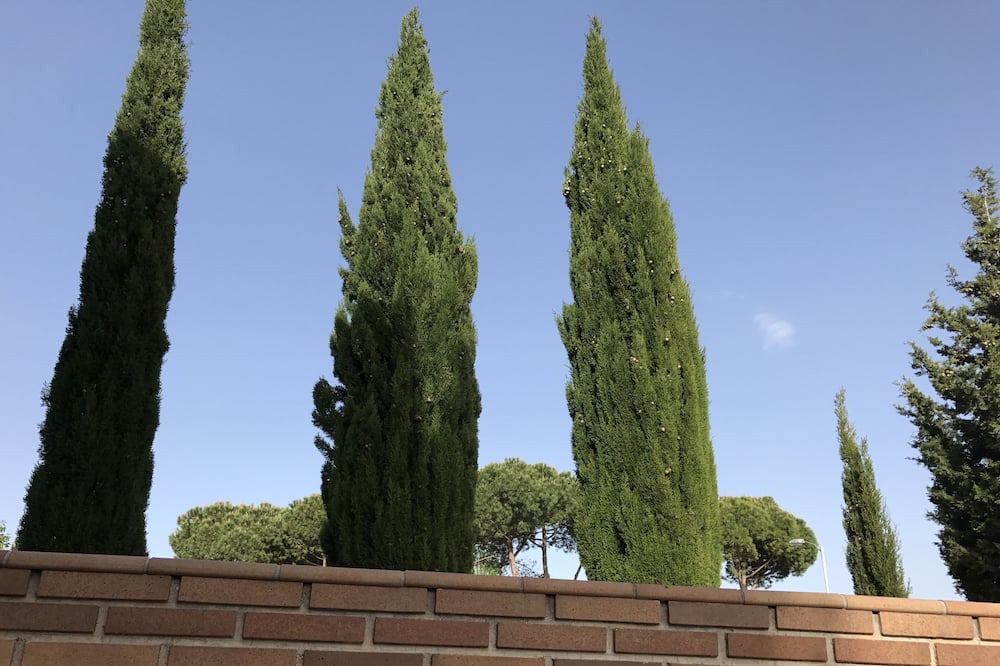 Photo of Outdoor in Huecas