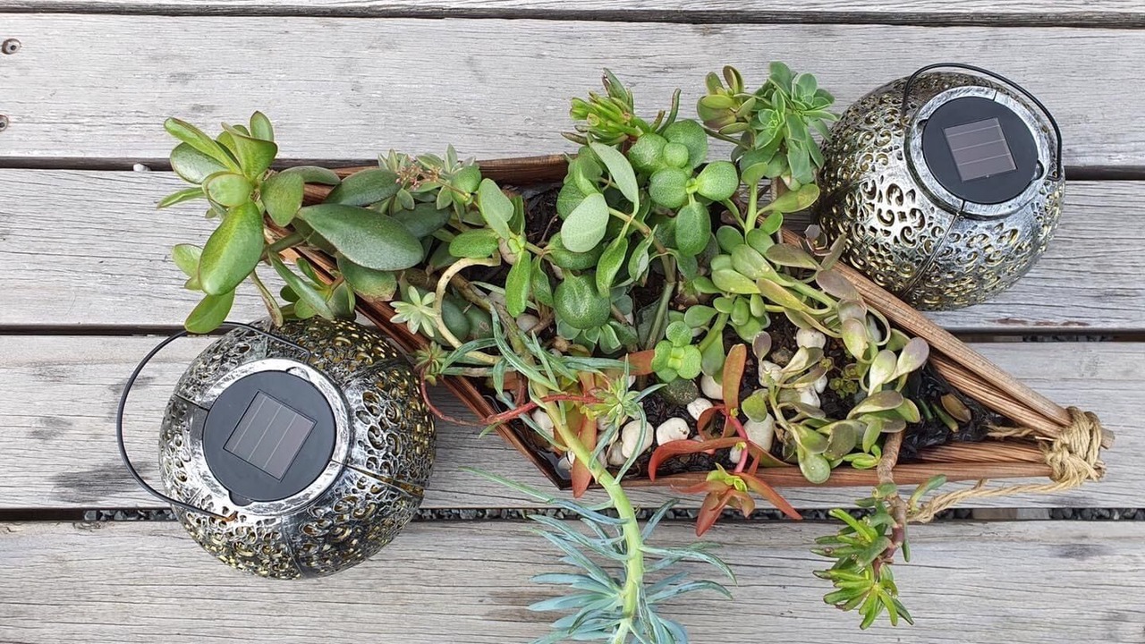 Photo of Outdoor in Kurrajong