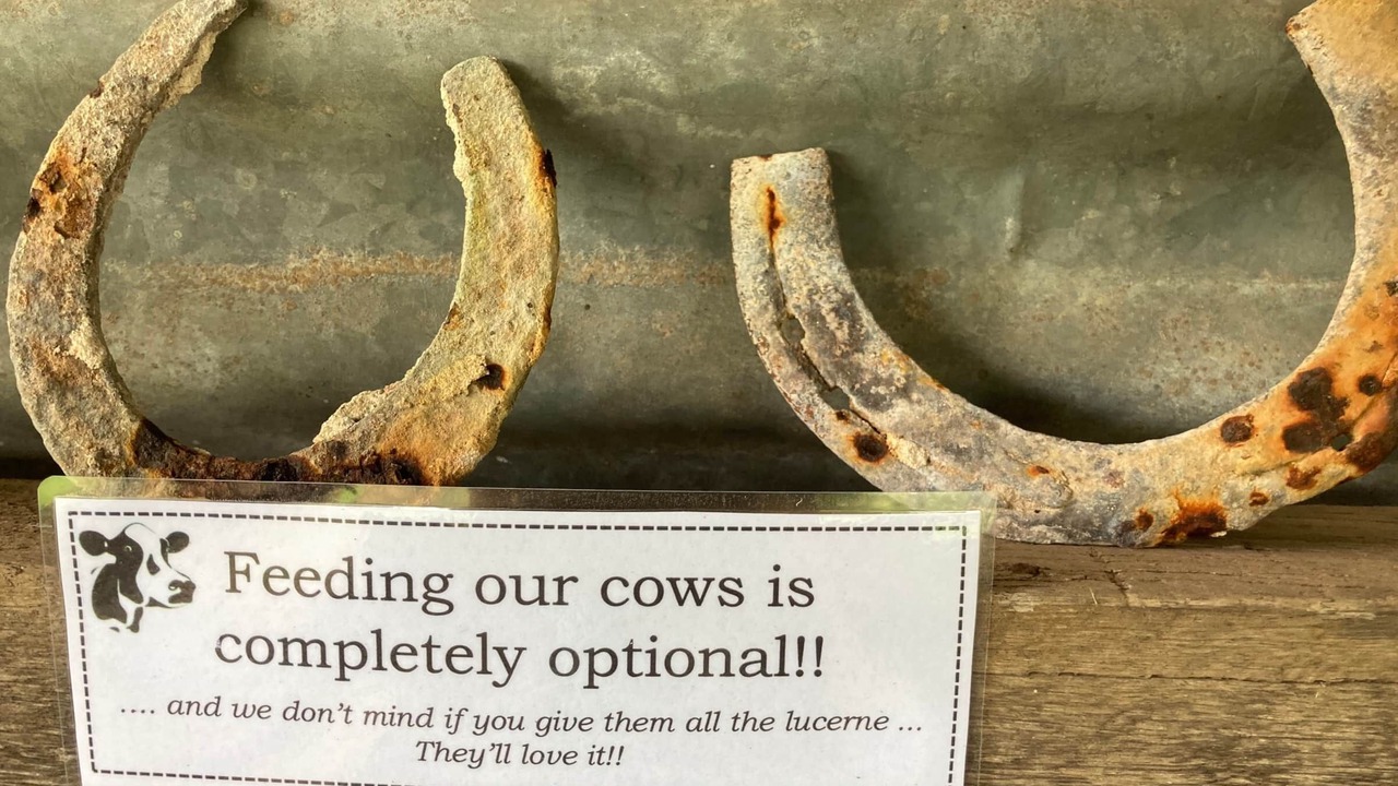 Photo of Others in Kurrajong