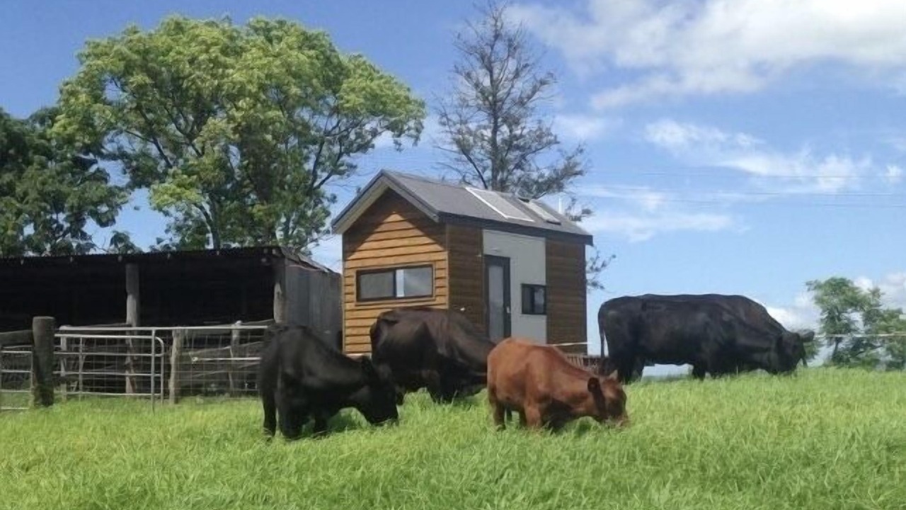 Photo of Outdoor in Kurrajong