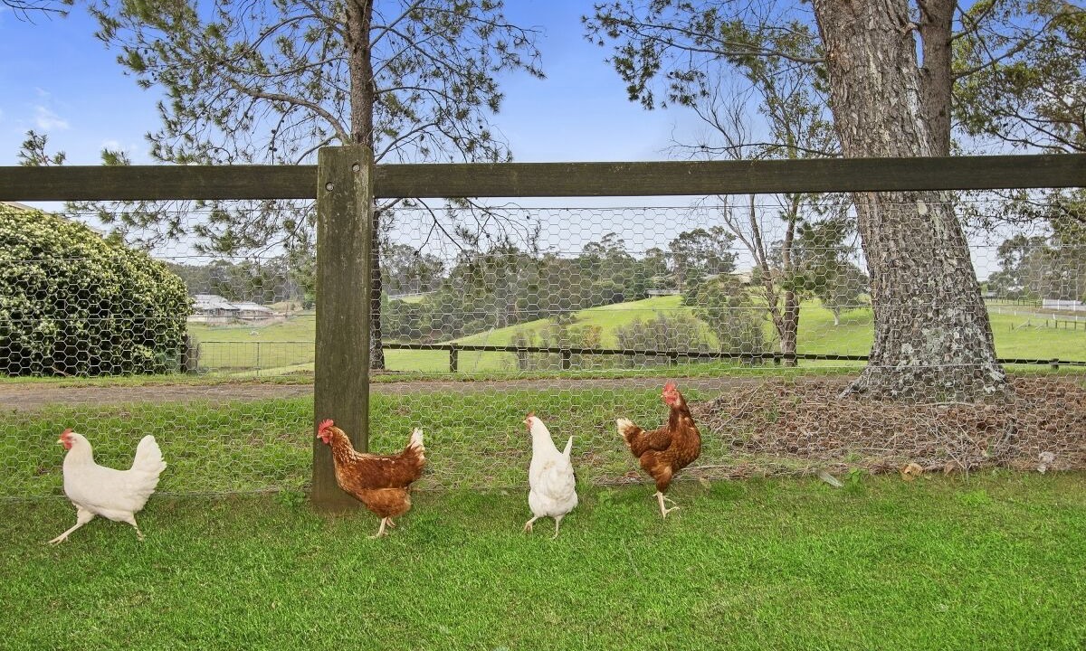 Photo of Outdoor in Kurrajong