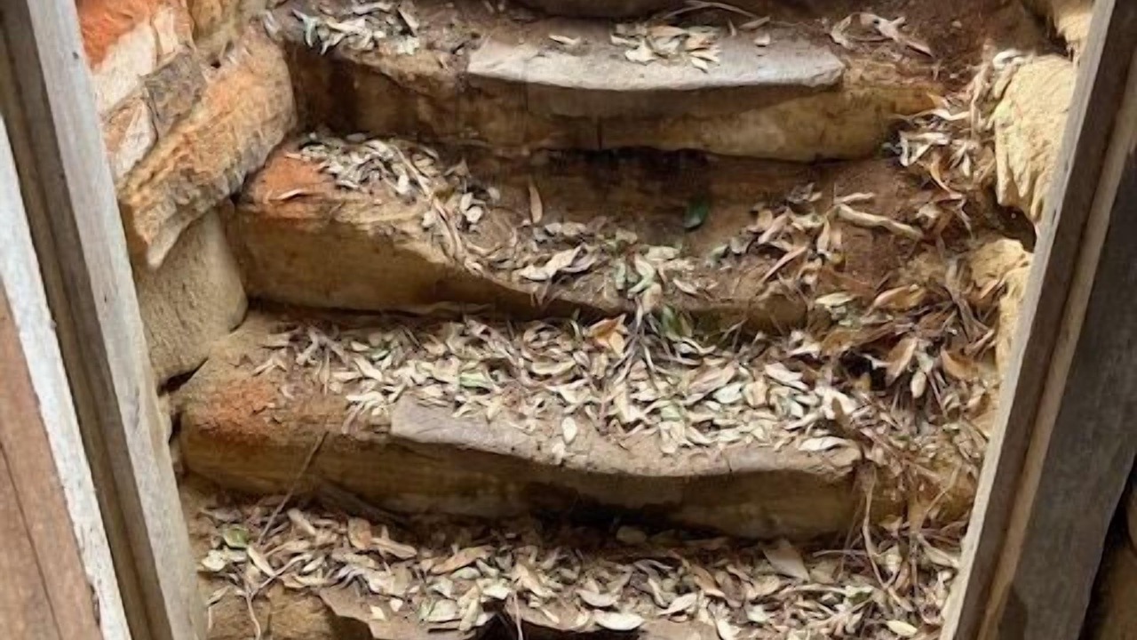 Photo of Others in Kurrajong