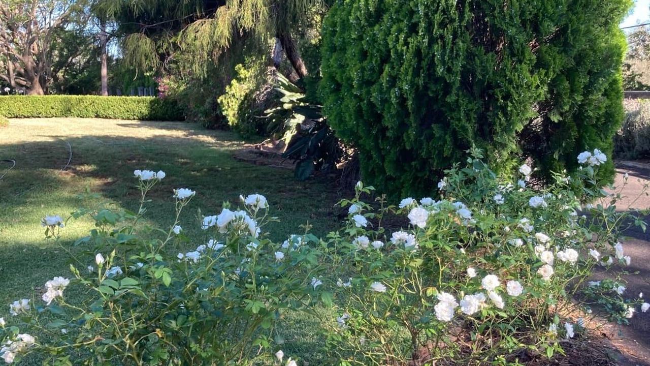 Photo of Outdoor in Kurrajong