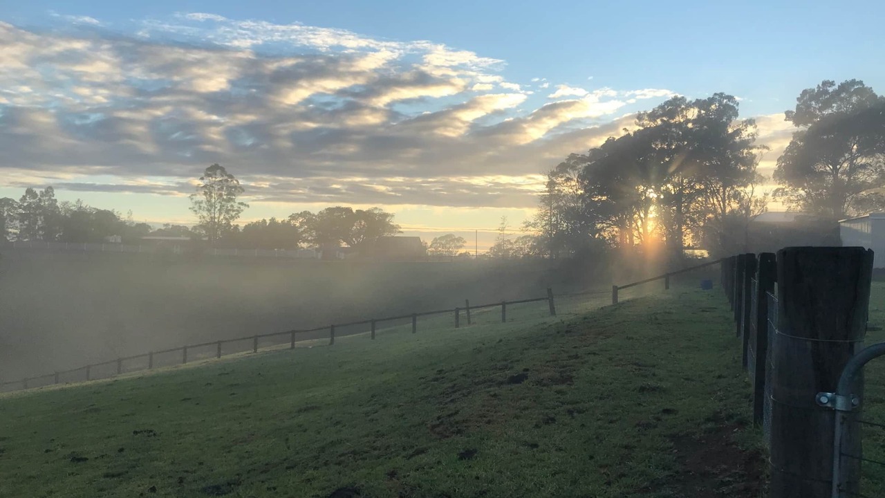Photo of Others in Kurrajong