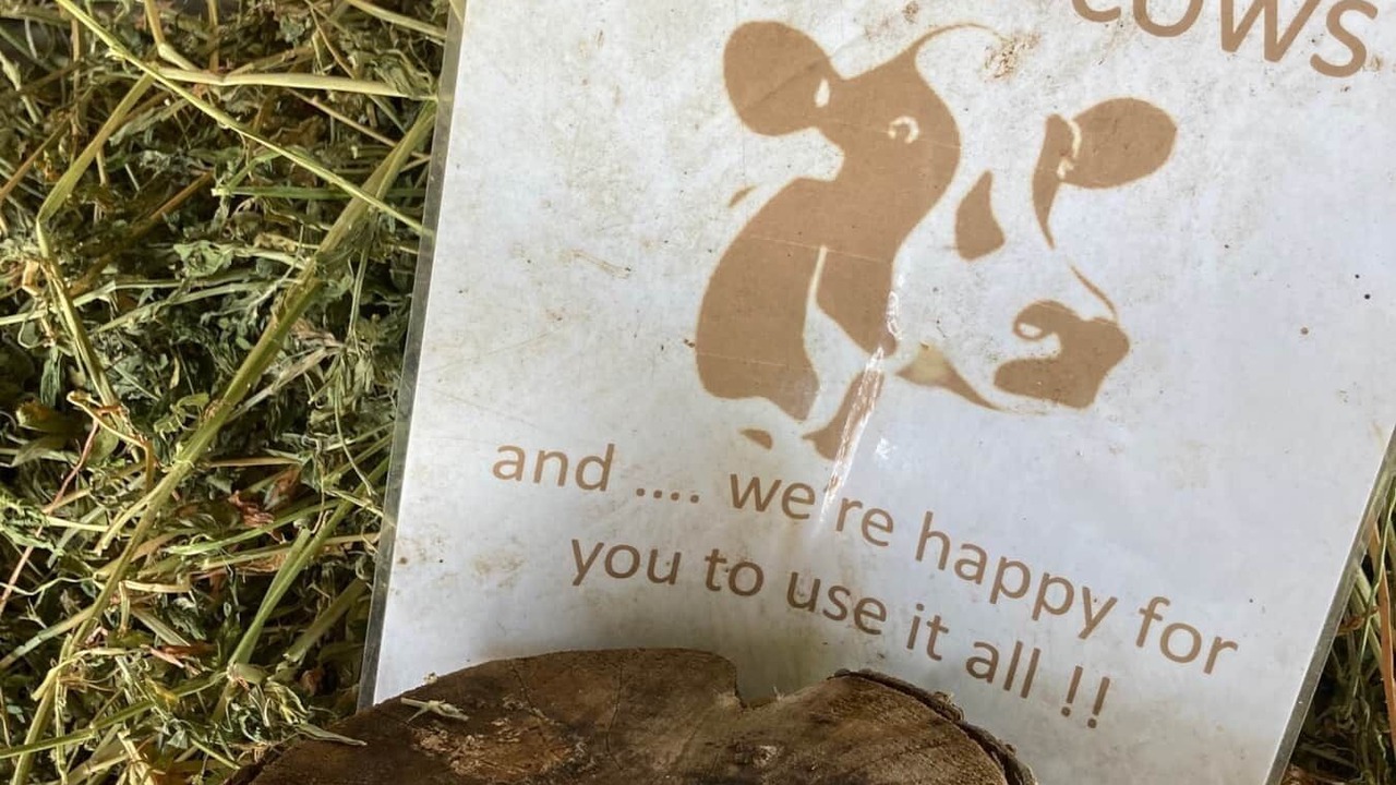 Photo of Others in Kurrajong