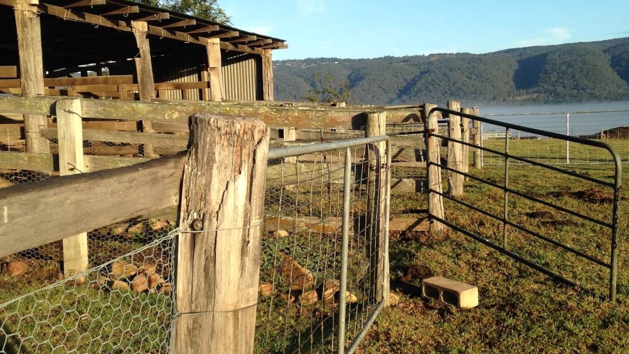 Photo of Outdoor in Kurrajong