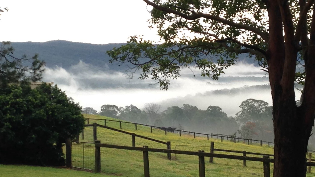 Photo of Outdoor in Kurrajong