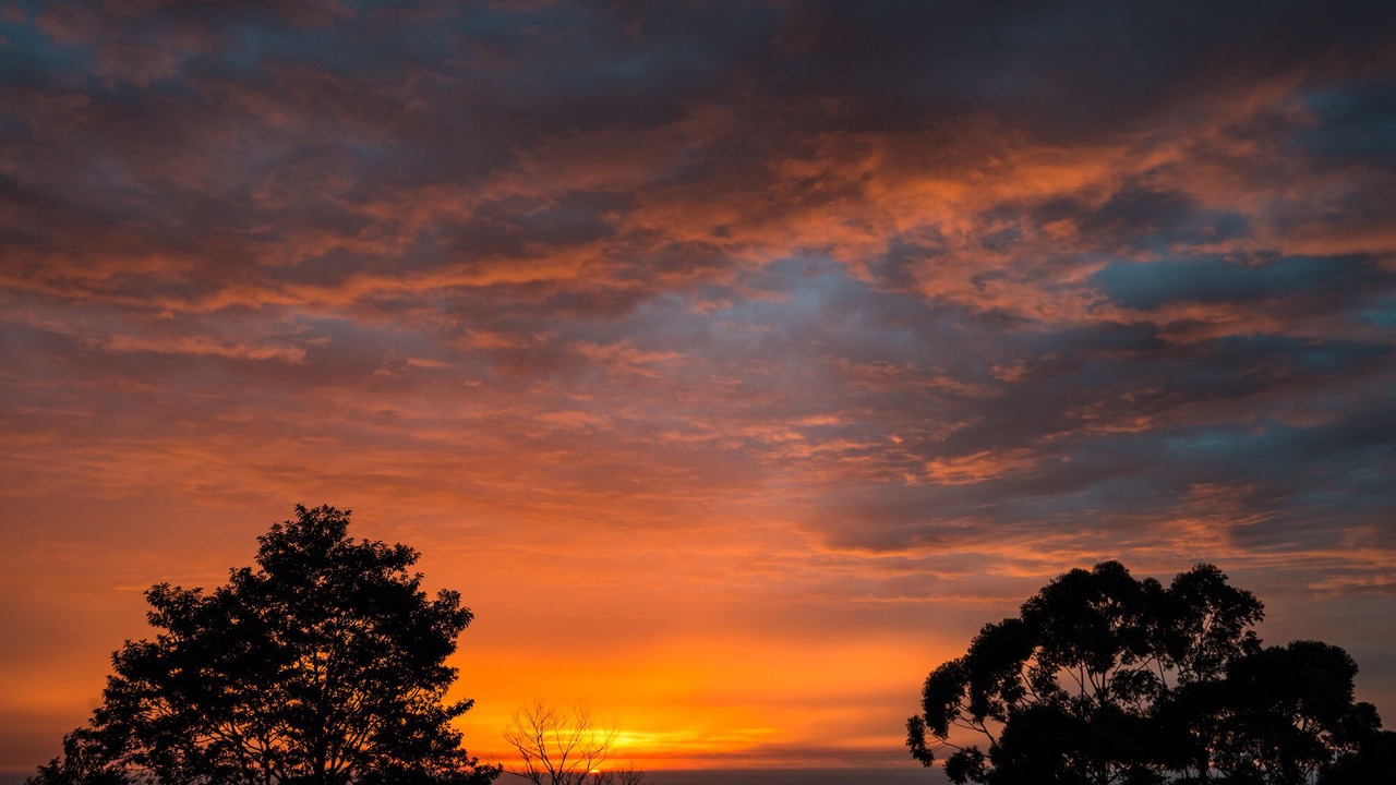 Photo of Others in Kurrajong