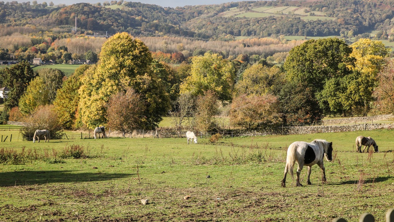 Photo of Others in Two Dales