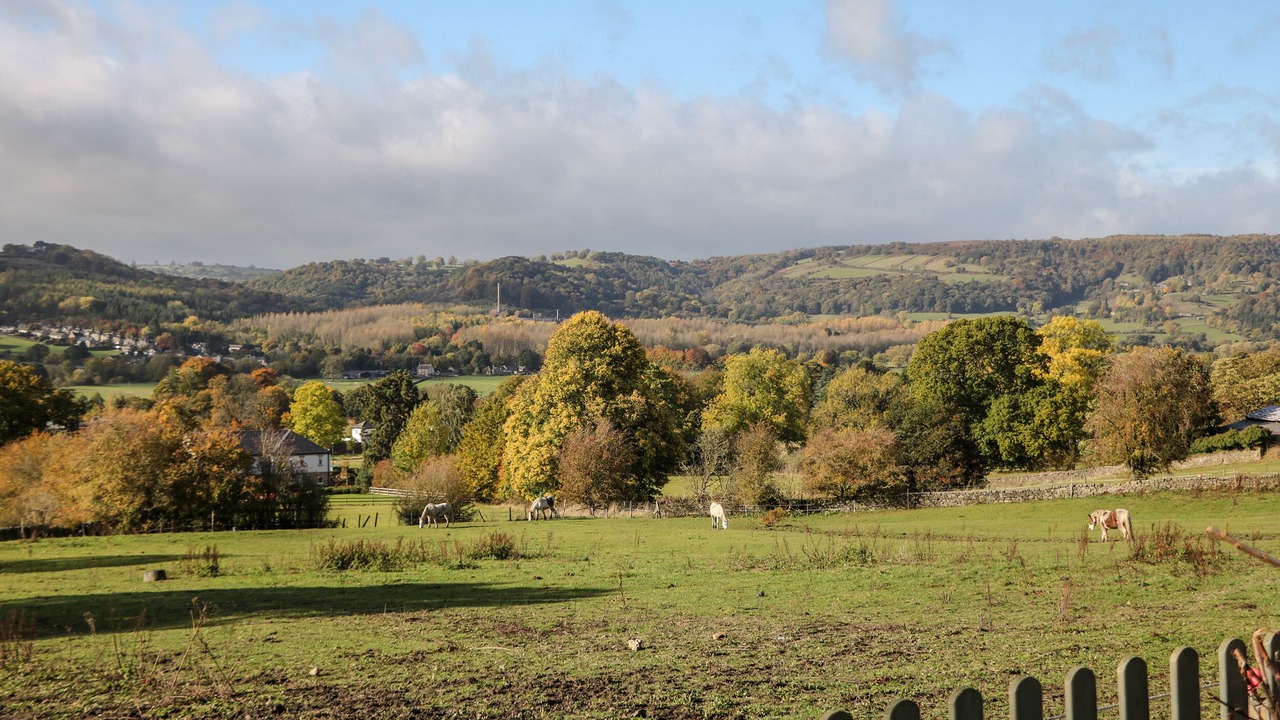 Photo of Others in Two Dales