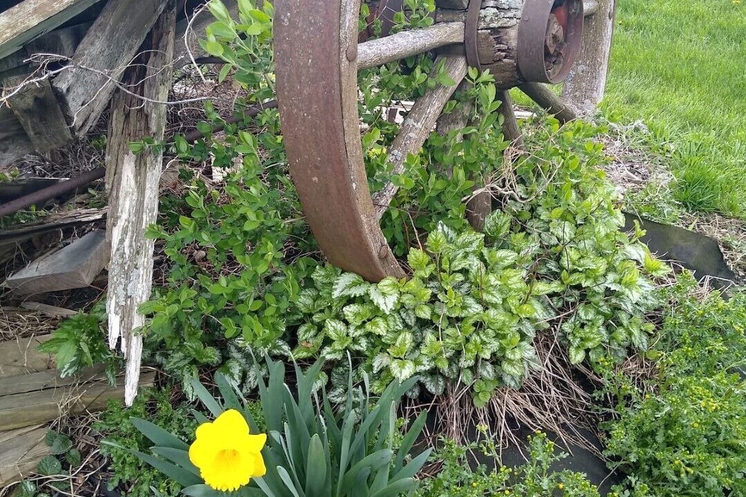 Photo of Outdoor in Dundee