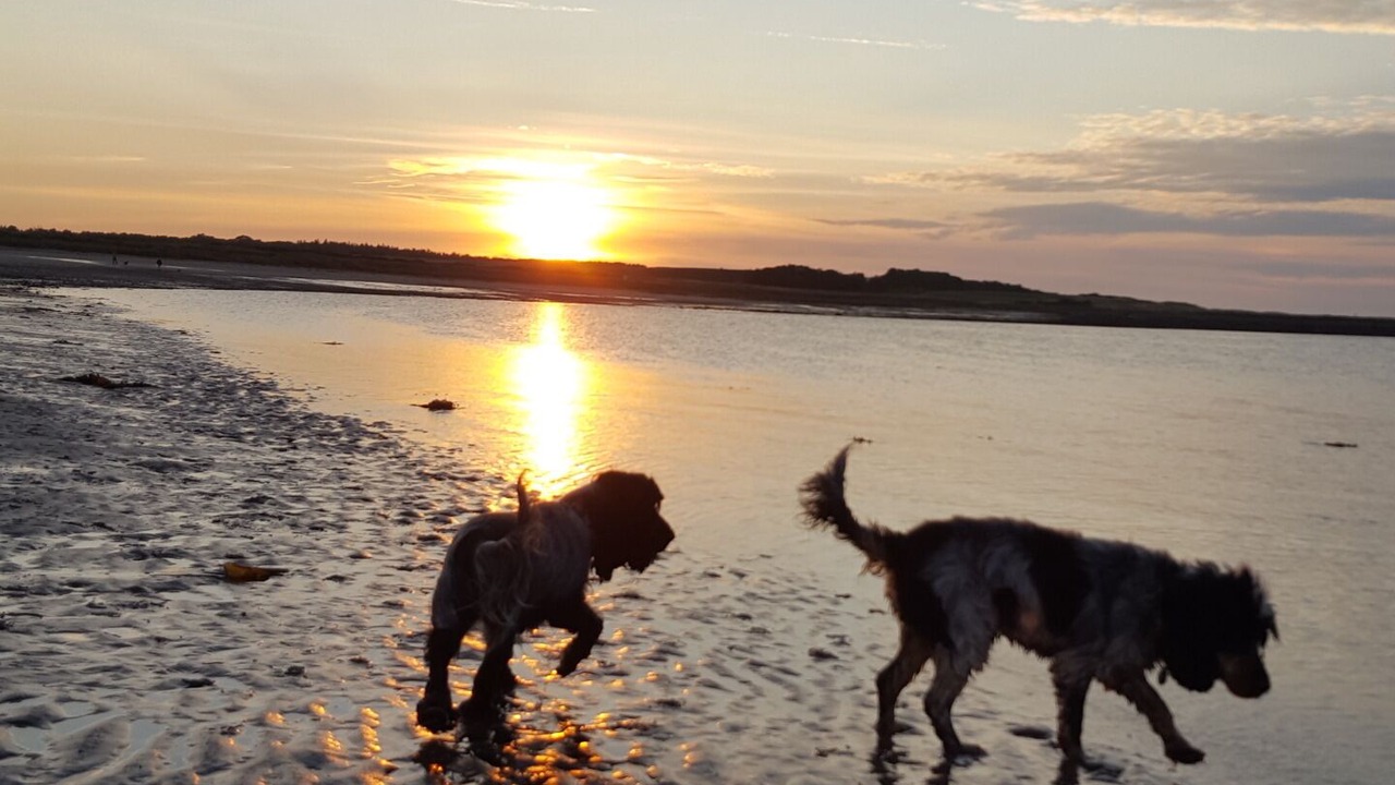 Photo of Outdoor in Dunbar