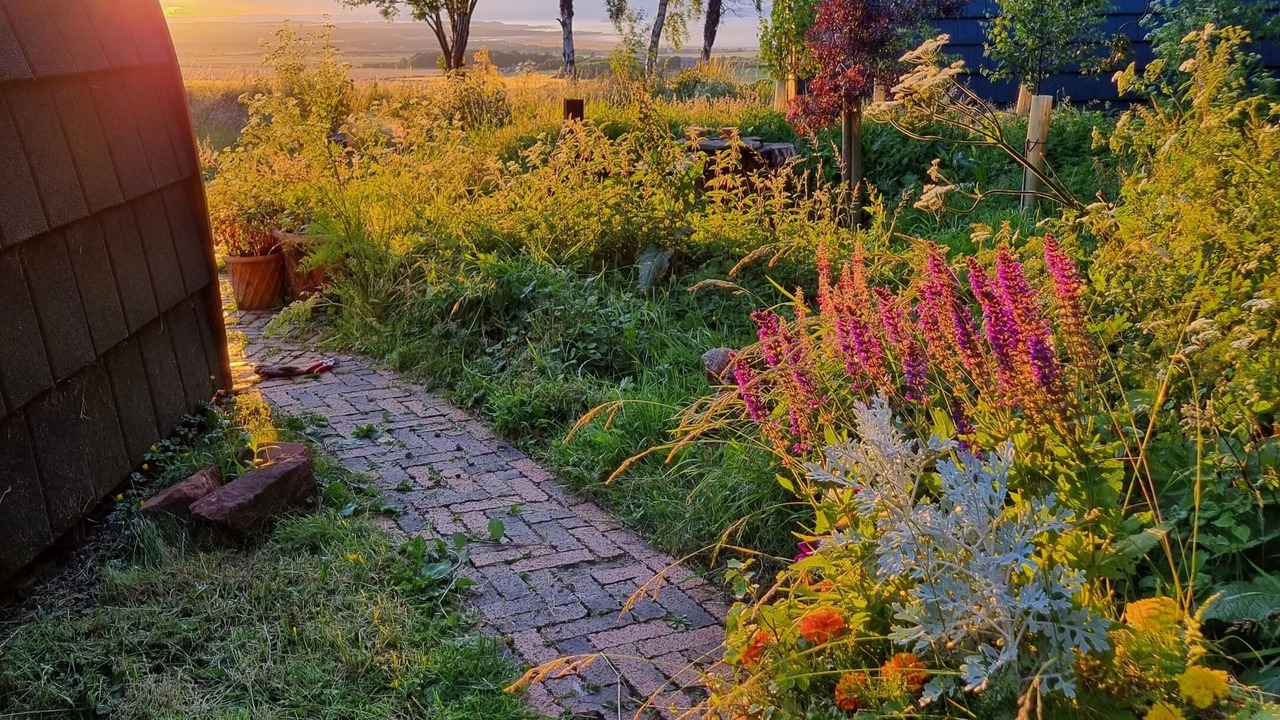 Photo of Others in Dunbar