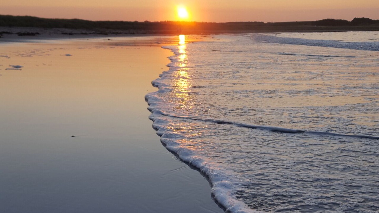 Photo of Others in Dunbar