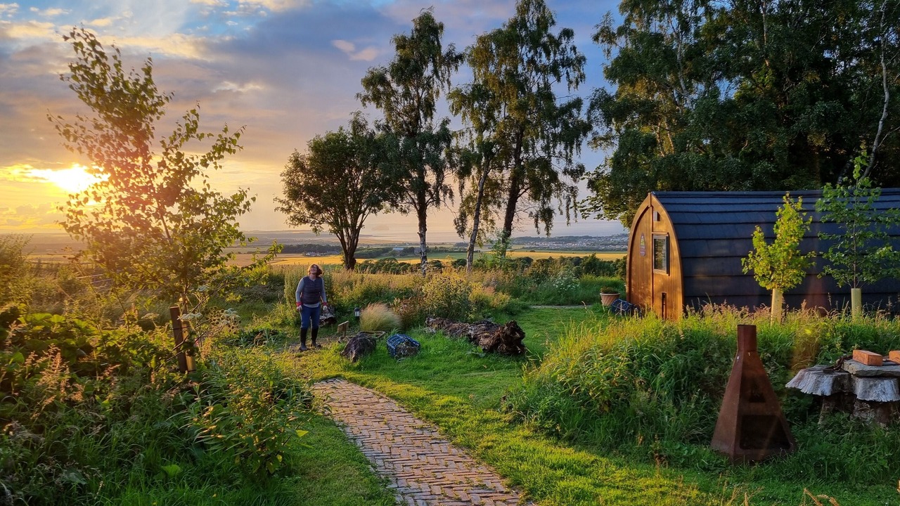 Photo of Others in Dunbar