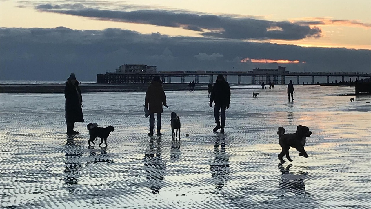 Photo of Others in Worthing