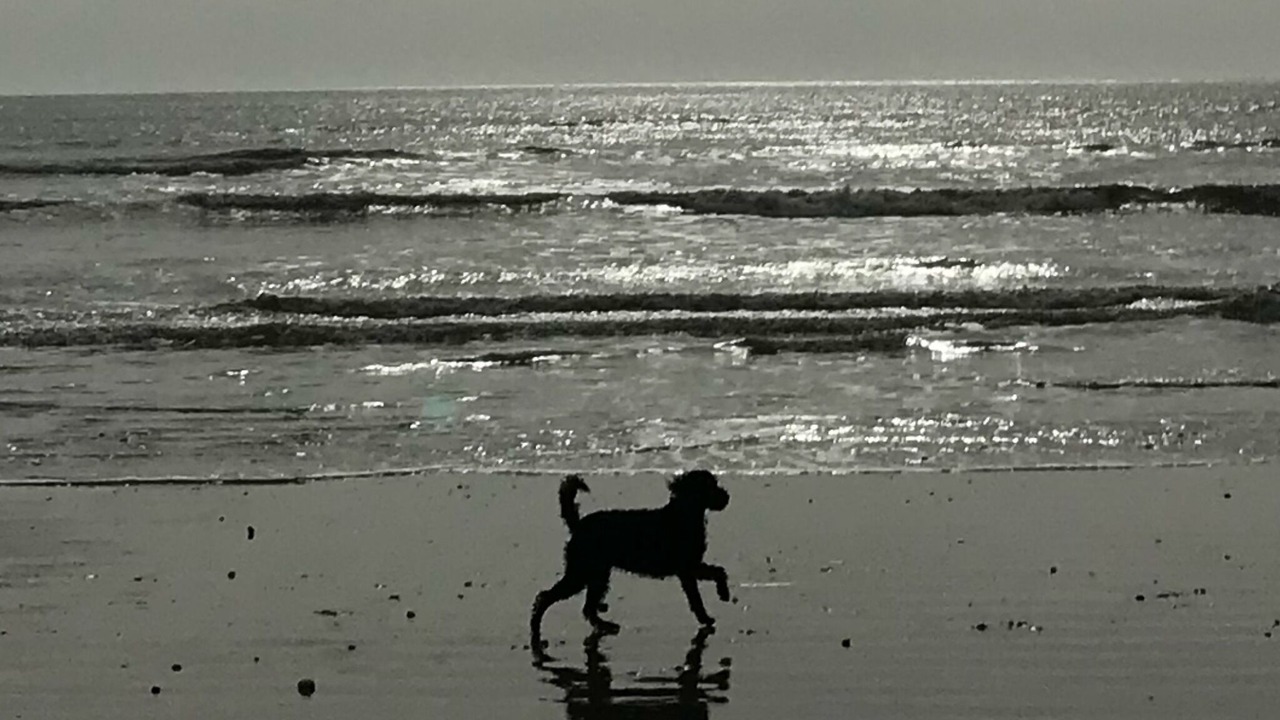 Photo of Others in Worthing