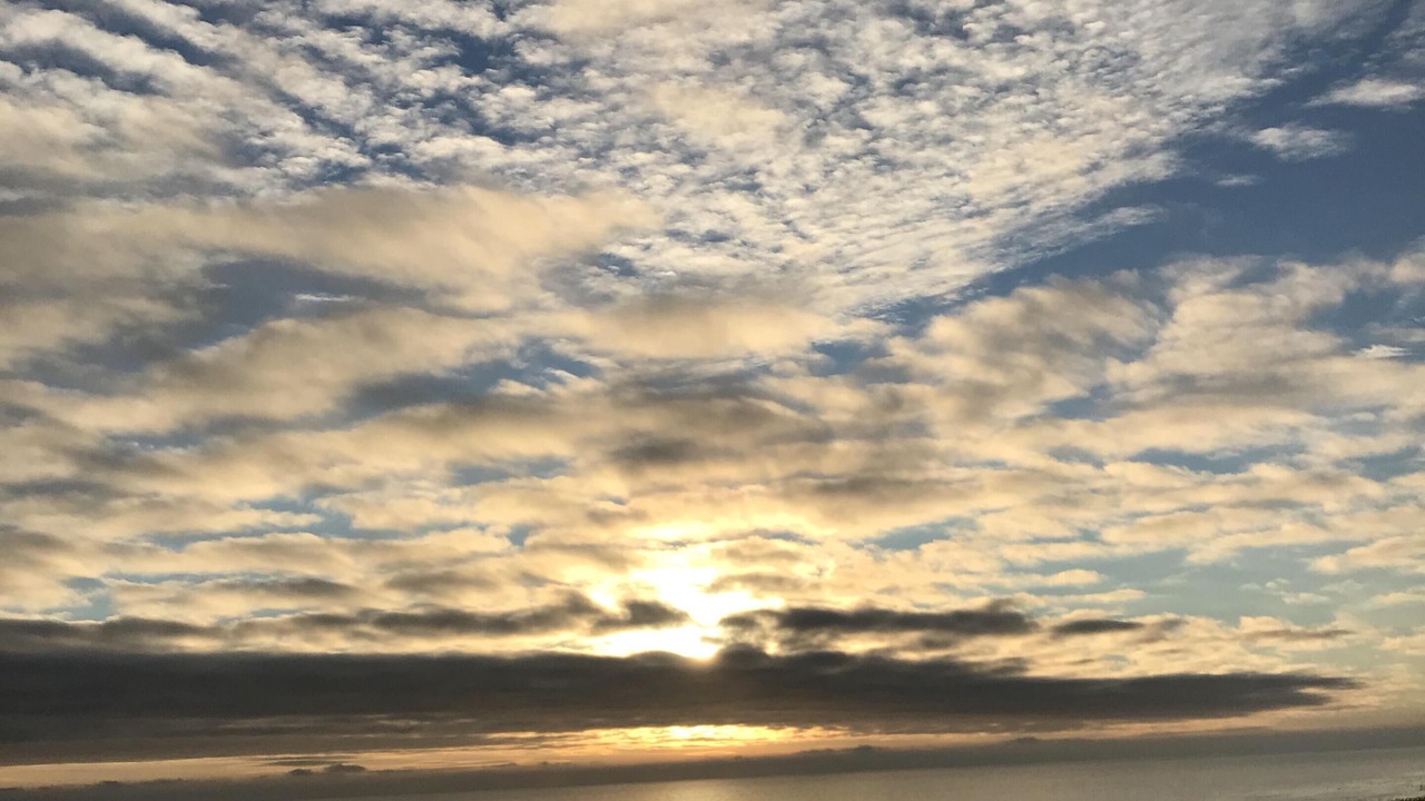 Photo of Others in Worthing